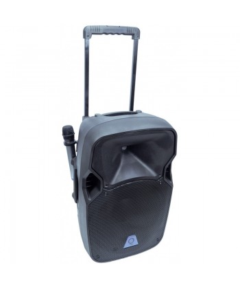 OQAN QLS12S, Diffusore a...