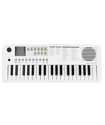 ECHORD SK-37, Mini Tastiera...
