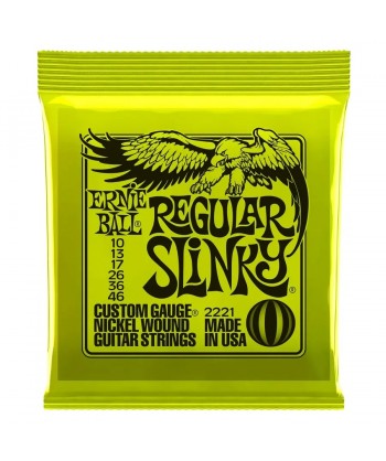 ERNIE BALL NICKEL REGULAR...