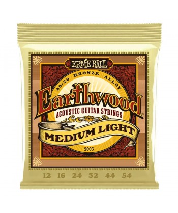 ERNIE BALL EARTHW 80/20...
